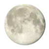 🌕