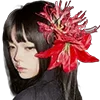 🌺
