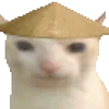 🍚