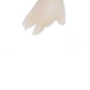 ⭐