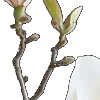 ⭐
