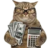 💸