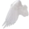 🕊