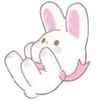 🐰