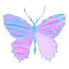 🦋