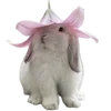 🪷