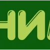 💚