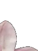 ⭐