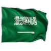 🇸🇦