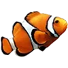 🐟