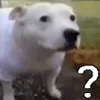 ❓