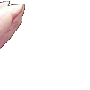 ⭐
