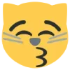 😽