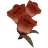 🌹