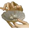 🐚
