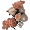 💐