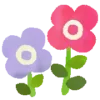 🌼