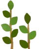 🌿