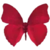 🦋