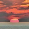 🌅