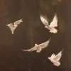 🕊️