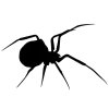 🕷