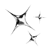 🌟