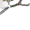 ⭐