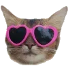 🐈‍⬛