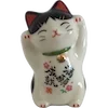 🐱