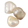🐚