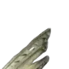 🪽