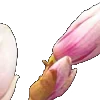 ⭐