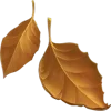 🍂