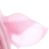 ⭐