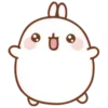 🐰