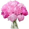 🌸