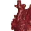 🫀