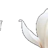 ⭐