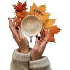 ☕️