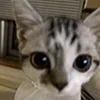 👀
