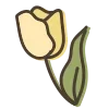 🌷