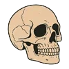 💀