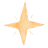 🌟