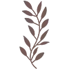 🌿