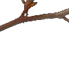 ⭐