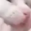 ⭐