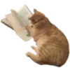 🐱