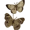 🦋