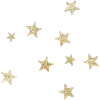 🌟